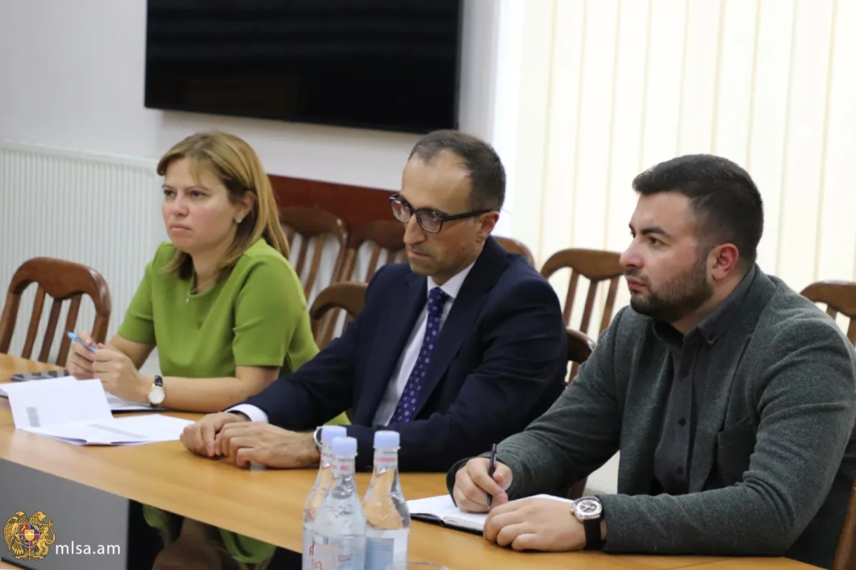 Արսեն Թորոսյանը հանդիպել է Հայկական միջազգային բժշկական հիմնադրամի տնօրեն Սալփի Ակարագյանին