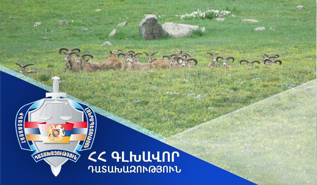 Земельные участки стоимостью 158 миллионов 263 тысячи долларов США, расположенные в Араратской области, возвращены Республике Армения.