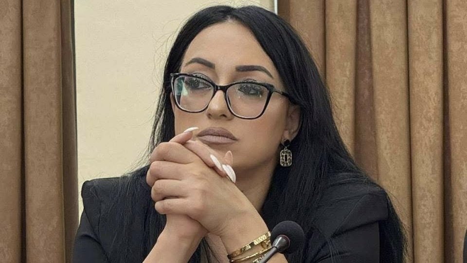 Все можно купить, кроме возможности иметь государство: Кристине Варданян