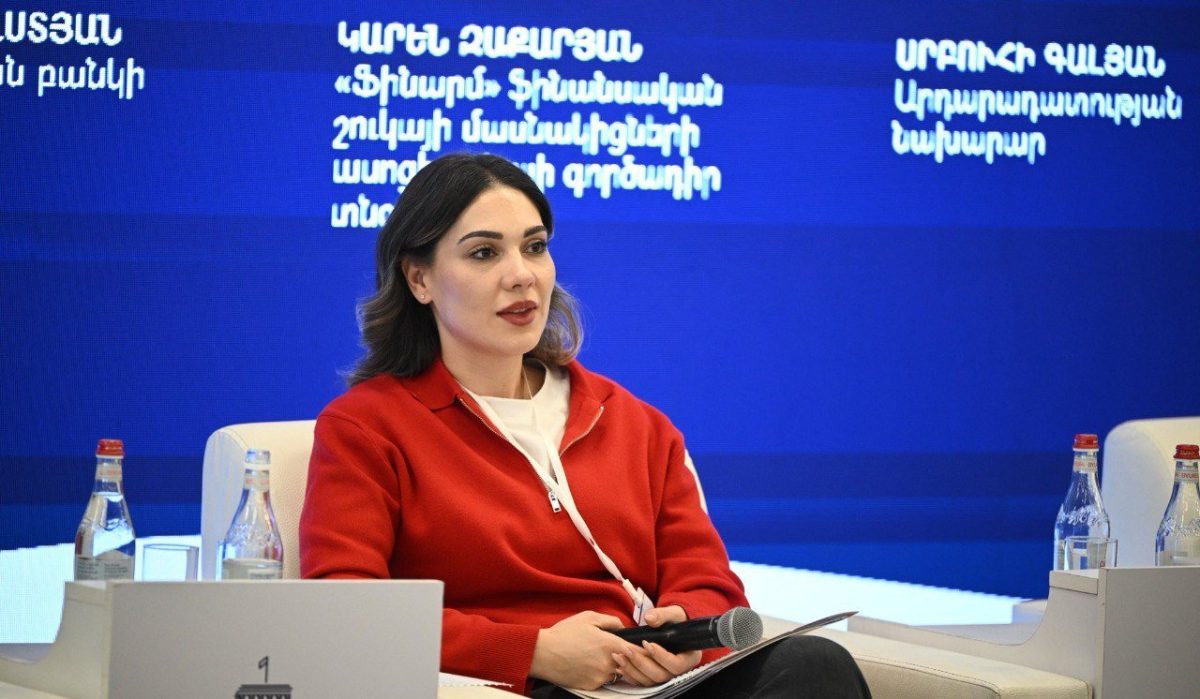 Разгрузка судов, цифровизация и разумные сроки рассмотрения дел: ответ Србуи Галян на ряд важных программ