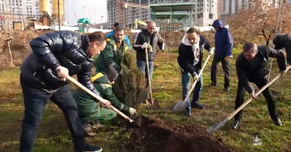 Տնկվեցին շուրջ 600 մշտադալար ծառեր. Ավինյան