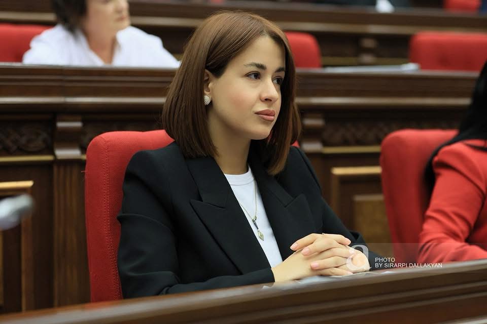 Признайте, что вы совершили ошибку, что вы бездарны, и положите конец этому политическому цирку: Азарян