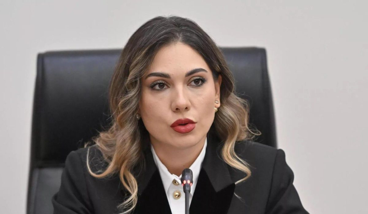 Новая Конституция: текст готов, обсуждение во фракции и правлении «ГД»