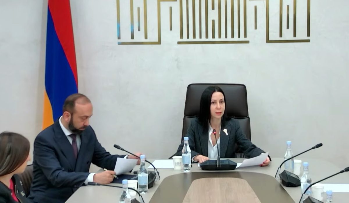 Комитет по внешним связям обсудил программу Правительства на 2025 год.