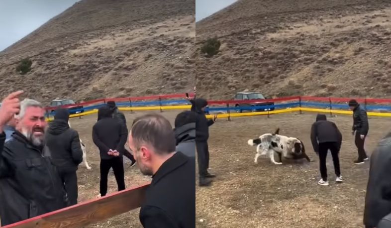 Ален Симонян призывает полицию Армении срочно отреагировать