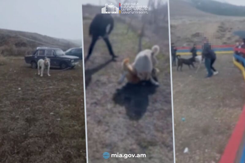 Ոստիկանների և կենդանապաշտպանների համագործակցության շնորհիվ կանխվեց շնամարտը․ՆԳՆ տեսանյութ