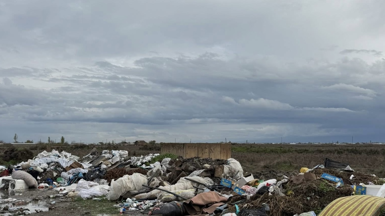 Когда ты ужасно «очень любишь» свою родину, и твоя любовь начинается и заканчивается тостами за Родину. Нуне Фарманян