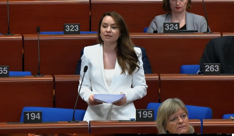 В Армении политика долгие годы была сильно демонизирована. Сона Казарян в ПАСЕ.