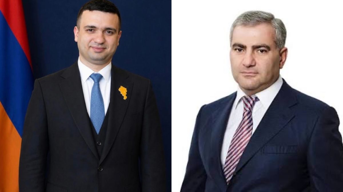 Господин Карапетян, Вас подставляют со всех сторон, как только успевают, обдирают и дают глупые советы. Микаэл Микаэлян