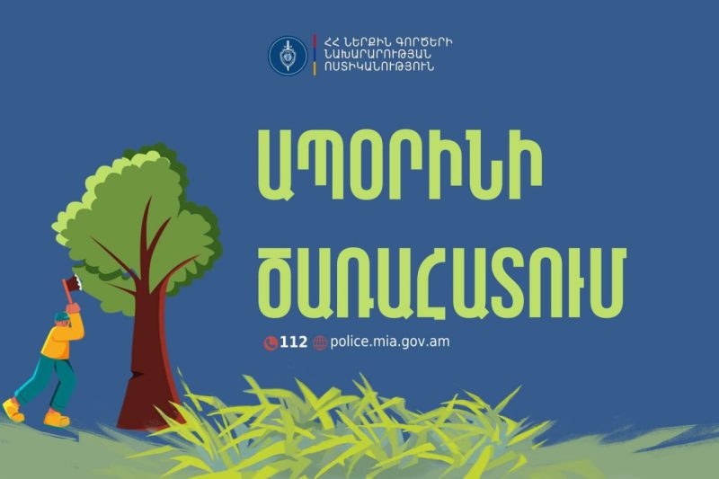Полицейские Тавушской области выявили случай незаконной вырубки деревьев.
