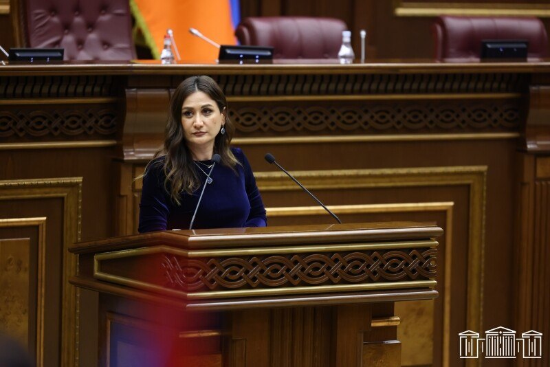 Арусяк Джулхакян избрана председателем Постоянной комиссии НС по государственно-правовым вопросам.