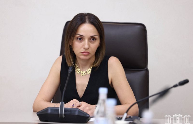 Ֆինանսավարկային և բյուջետային հարցերի մշտական հանձնաժողովի նախագահի թեկնածու է ընտրվել Ծովինար Վարդանյանը.