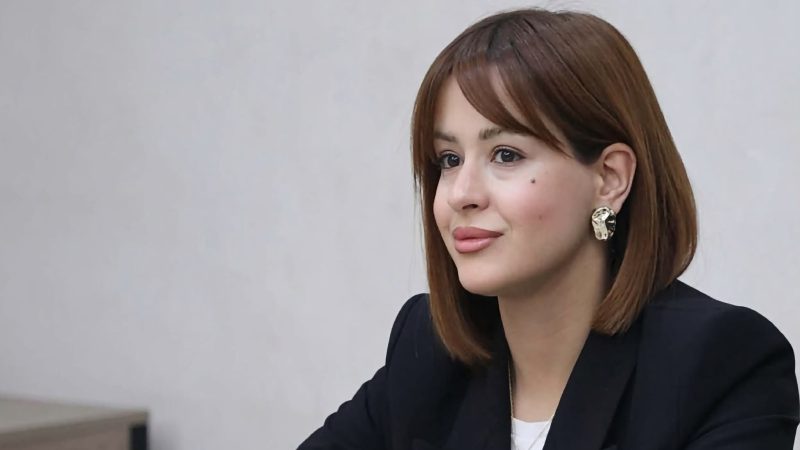 И мы ответственны не только за сегодняшний Ереван, но и за тот Ереван, где будут жить наши дети. Джульетта Азарян