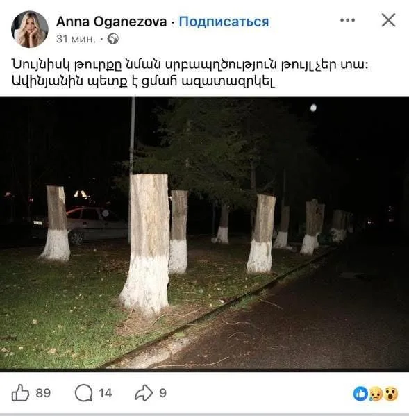 В Интернете распространился очередной обман о том, что в столице вырублены большие деревья.