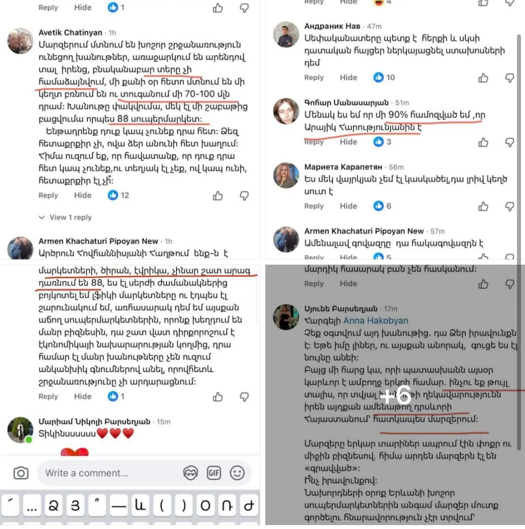 Людей заставляют продавать свой бизнес от моего имени: Анна Акопян обратилась в прокуратуру