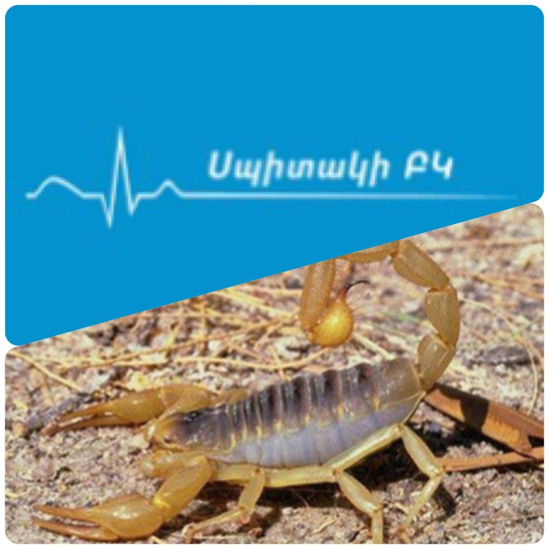 Կարիճը խայթել է 45-ամյա կնոջը