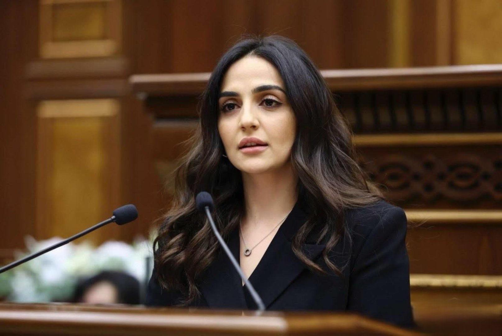 Ընդդիմությունը պետք է ներողություն խնդրի տեղեկատվական տեռորի համար. Ալխաս Ղազարյան