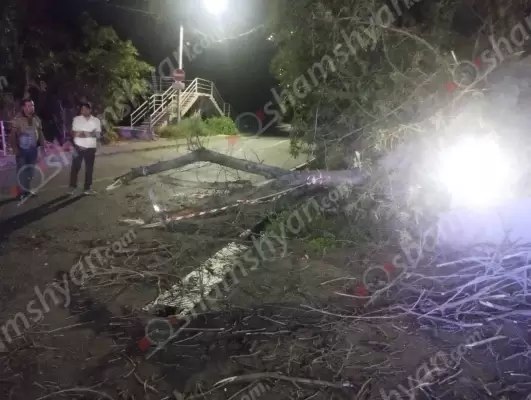 «Ֆլորենս» ռեստորանային համալիրի հարևանությամբ հաստաբուն ծառը տապալվել և փակել էր ճանապարհի երթևեկելի գոտին